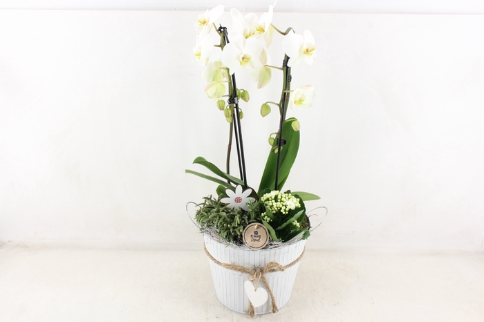 <h4>arr2 PL - Zink pot met hart Phal wit</h4>