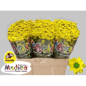 Chr San Madiba Ringa Yellow Monnikenwaard