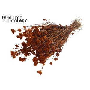 Lona per bunch Terracotta