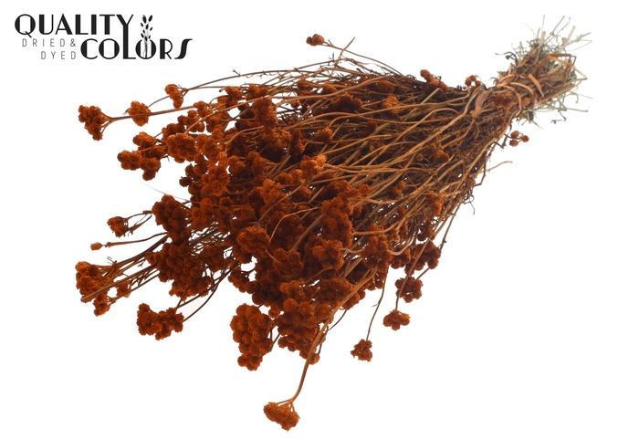 Lona per bunch Terracotta