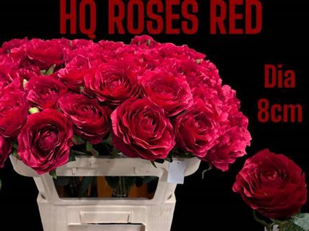 <h4>Huis En Tuin Rosa Red Silk 80cm</h4>