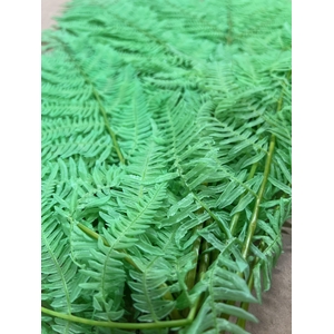 GESTABILISEERD VAREN MINT