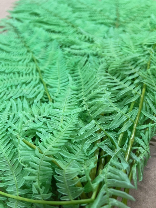 <h4>GESTABILISEERD VAREN MINT</h4>