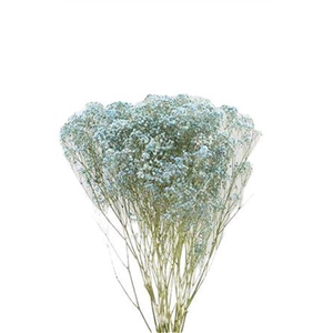 Bunch Gyps Slv 50g L70