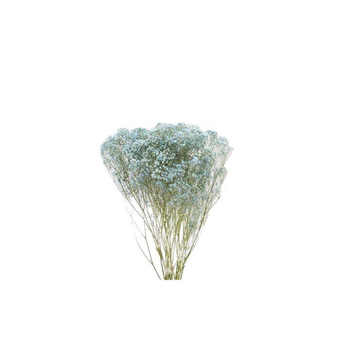 <h4>Bunch Gyps Slv 50g L70</h4>