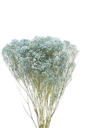 Bunch Gyps Slv 50g L70