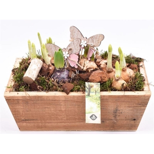 Hout rechthoek 25x20cm