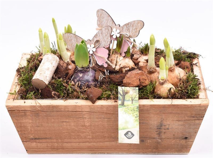 <h4>Hout rechthoek 30x20cm</h4>