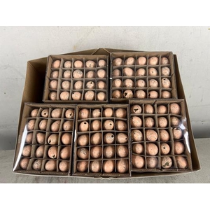 Egg Quail Orange Box(60pcs)