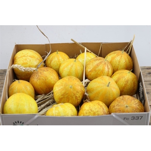 Sier Cuc Citrus Komkommer Hol P Box