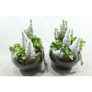 4408 Hendrik Bowl + Boompje