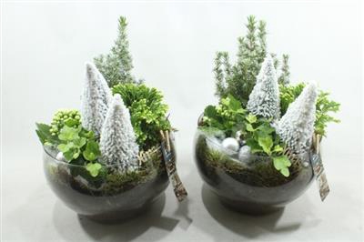 <h4>4408 HENDRIK BOWL + BOOMPJE</h4>