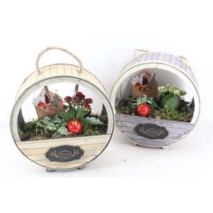 arr2 TD - Houten wiel  rood/wit