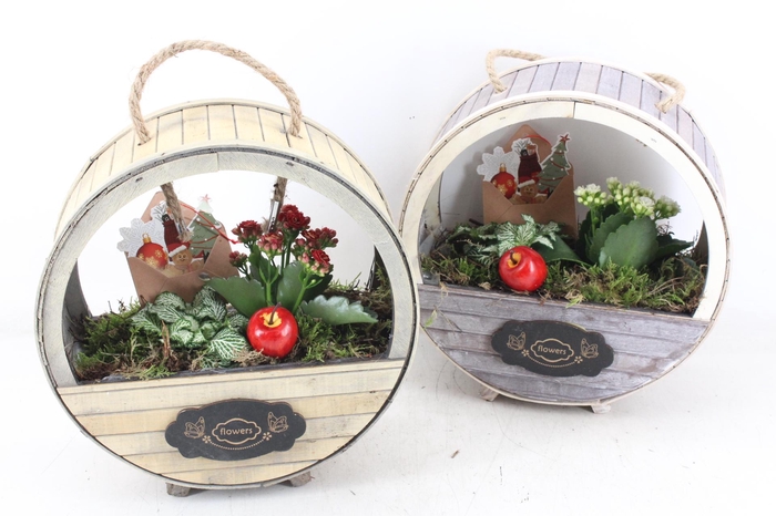 <h4>arr2 TD - Houten wiel  rood/wit</h4>