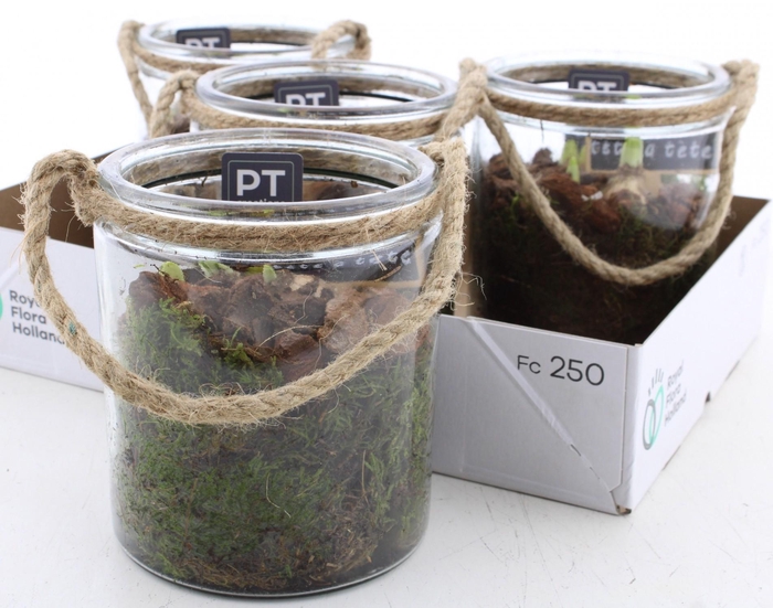 <h4>ARR N TETE A TETE</h4>