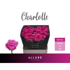R GR CHARLOTTE ALLURE