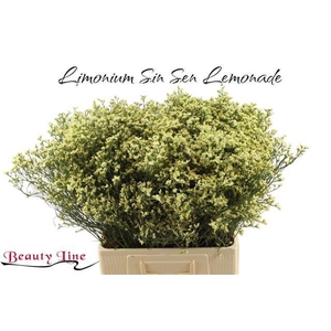 LIM SIN SEN LEMONADE