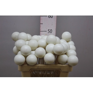X-mas Balls White