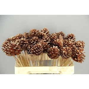 Stick Pine Cone Copper