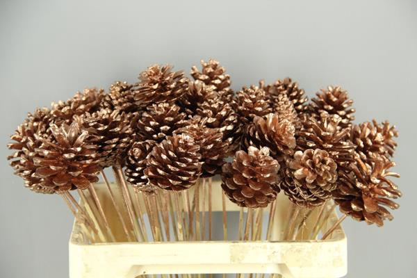 Stick Pine Cone Copper