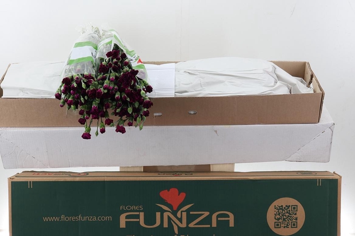 <h4>Di Tr Epsilon x20 Box</h4>