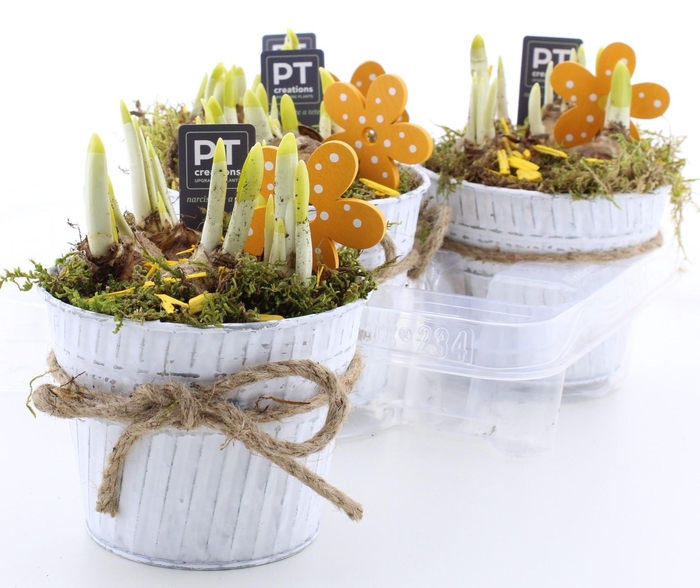 <h4>ARR N TETE A TETE</h4>