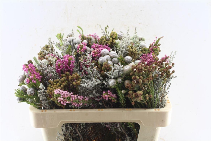 <h4>Kaaps Groen Gemengd In Bos</h4>