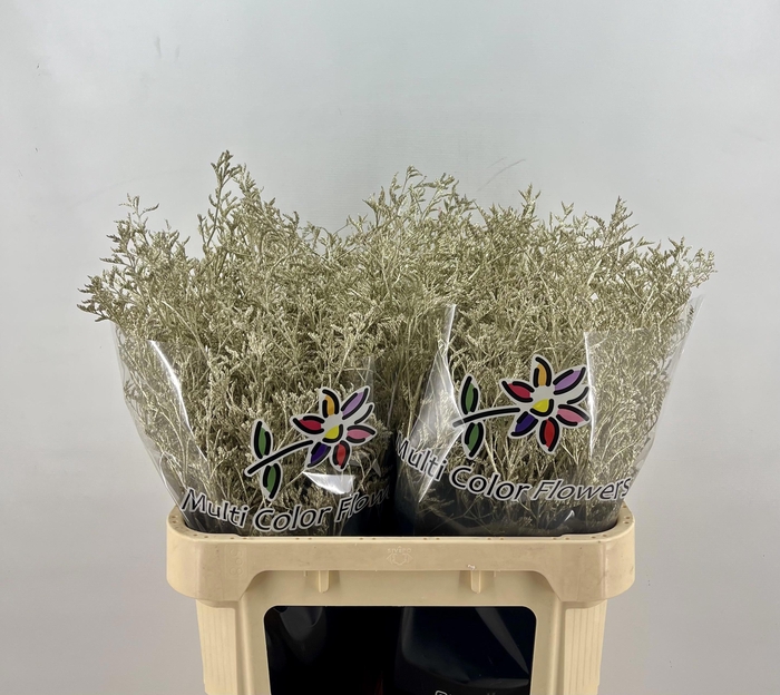 <h4>LIM OV KLB H%</h4>