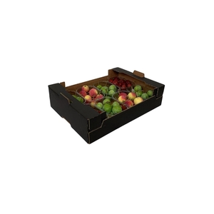 Appels Malus Mix 8x