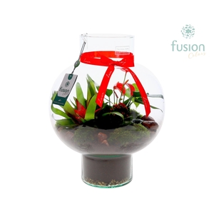 Green Bottle Laura Large met Love arrangement