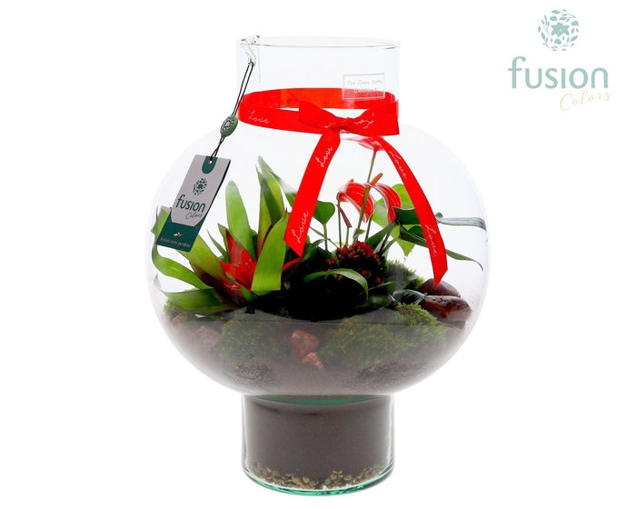 <h4>Green Bottle Laura Large met Love arrangement</h4>