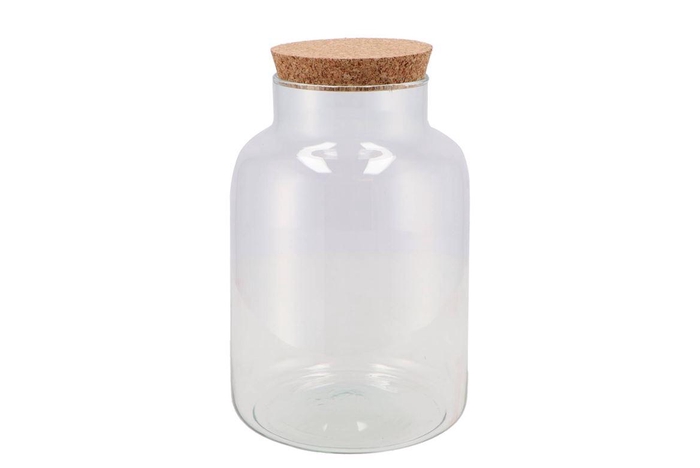 <h4>Glass Bottle With Cork Close 17x27cm</h4>