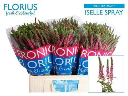 <h4>Veron Smart Iselle 60cm Vertakt</h4>