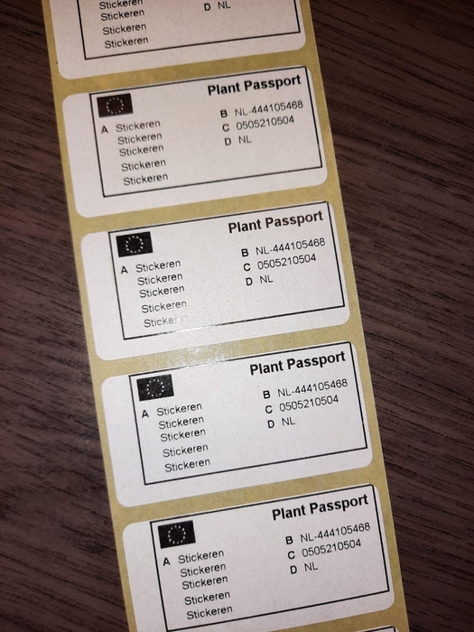 <h4>Stickeren-08</h4>