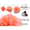 R GR PEACH FUZZ