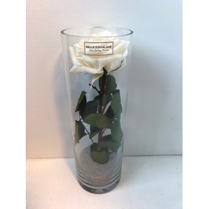 Glass d10x30cmh Rose Champagne