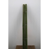 Bamboe 70-100 2meter