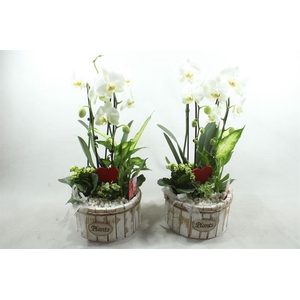 91212 WHITE/WHITE CASCADE