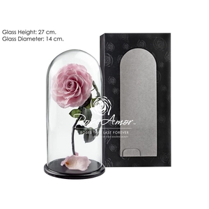 Dome Aurora Pin04 Bulk