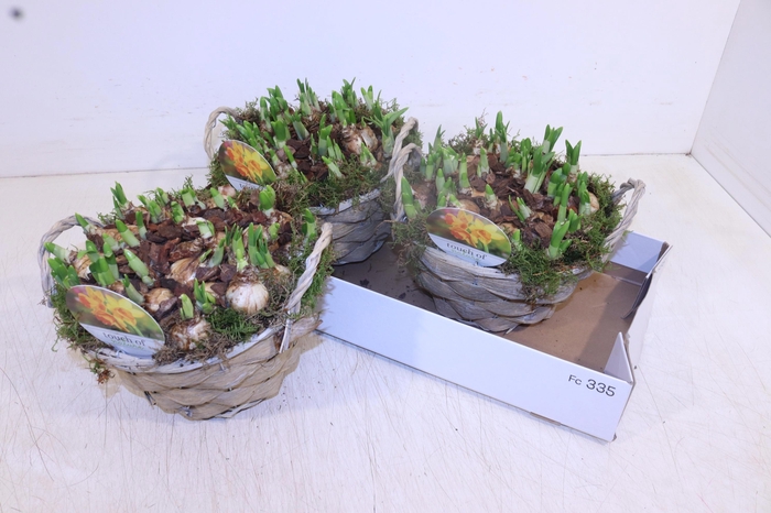 <h4>ARR N TETE A TETE</h4>