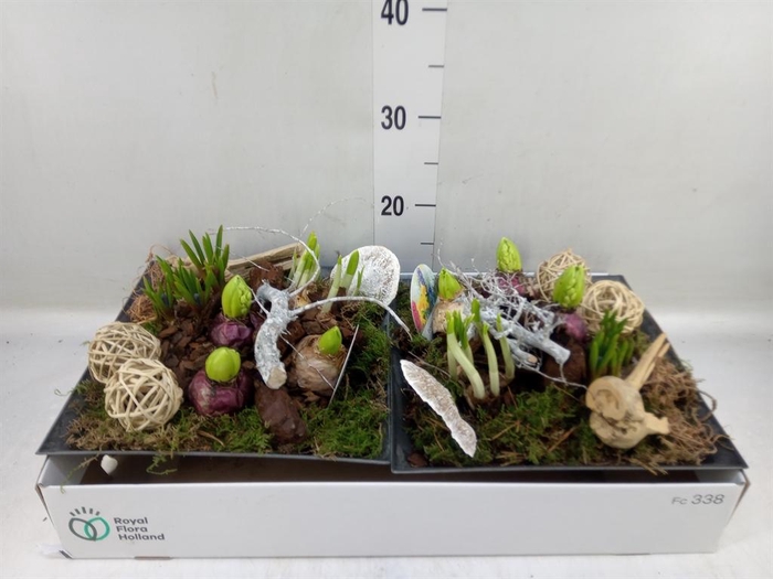 <h4>Arr. Bol/Knolgewas L%</h4>