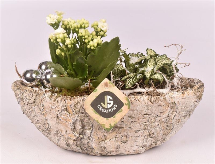 <h4>Cement kano old look 25x10cm</h4>