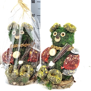 Klein Beer 30cm Kado Folie