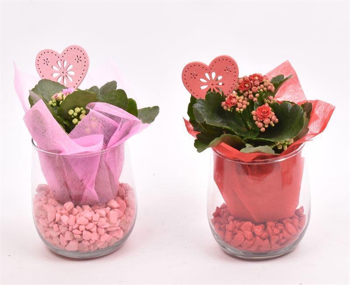 <h4>Glas cilinder 9/11cm</h4>