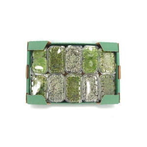 Mos Blister Mosmix