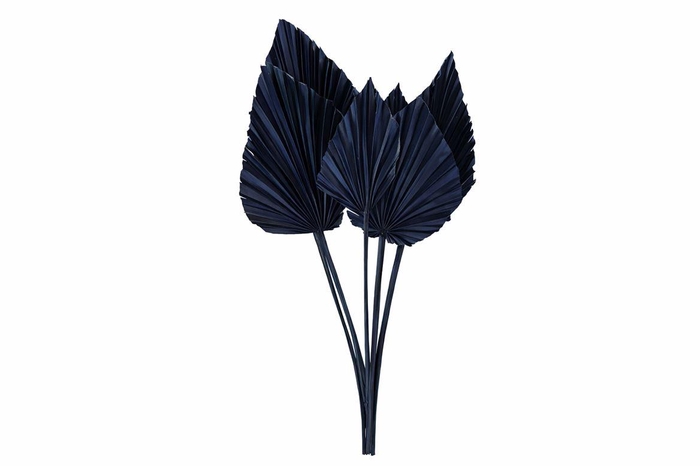 <h4>Dried Palm Spear 10pc Dark Blue Bunch</h4>