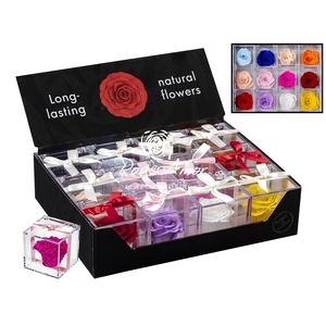 Display Gb14 Assorted