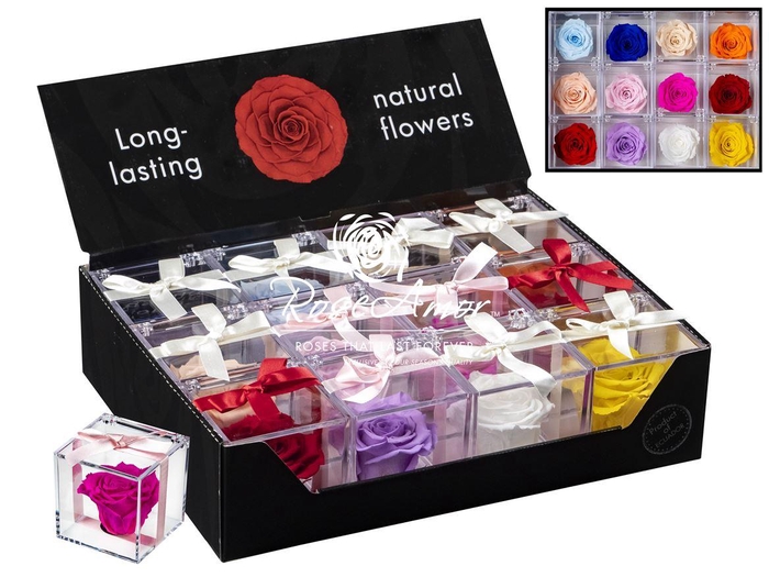 <h4>Display Gb14 Assorted</h4>