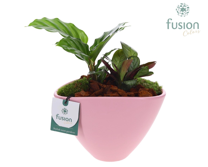 <h4>Pot keramiek ovaal Medium met Arrangement</h4>