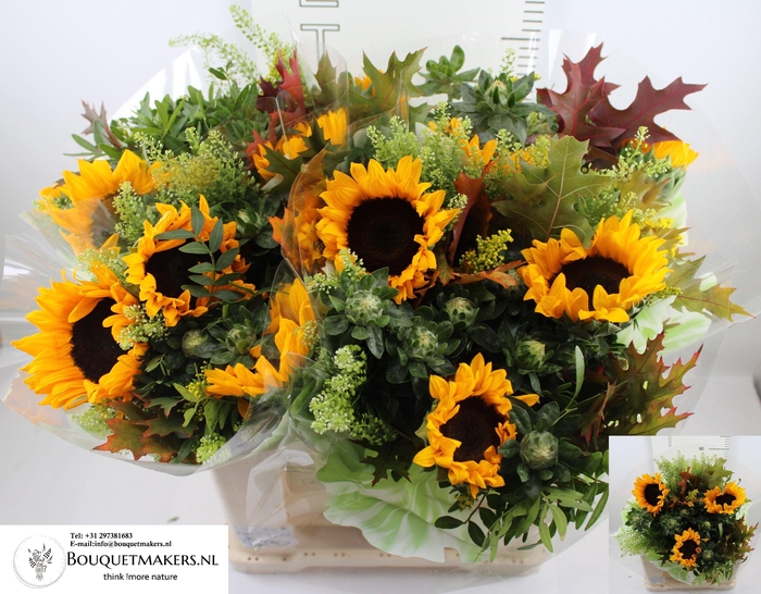 <h4>GEM BOEKET OV</h4>